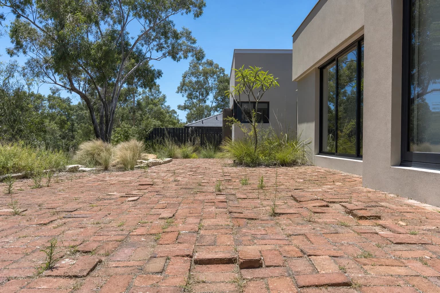 A backyard of old clay brick paving sunk unevenly, pavers sitting proud of their neighbours with weeds through the joints