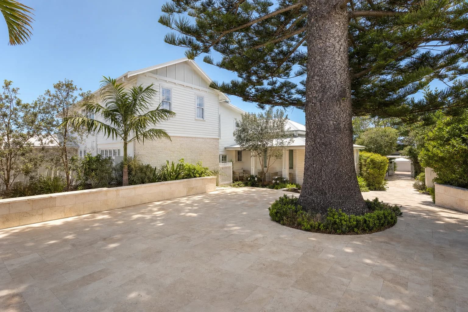 Cream travertine paving in a French pattern across a Cottesloe courtyard beside a mature Norfolk Island pine